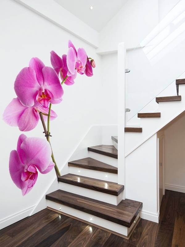 фотообои с орхидеей