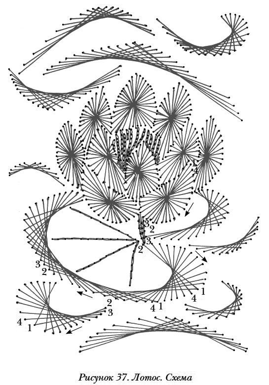 схема лотос