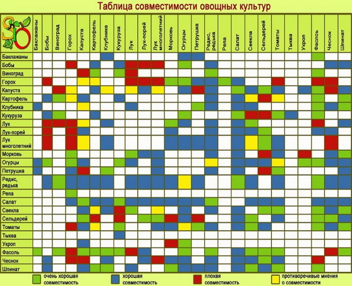 таблица совместимости культур