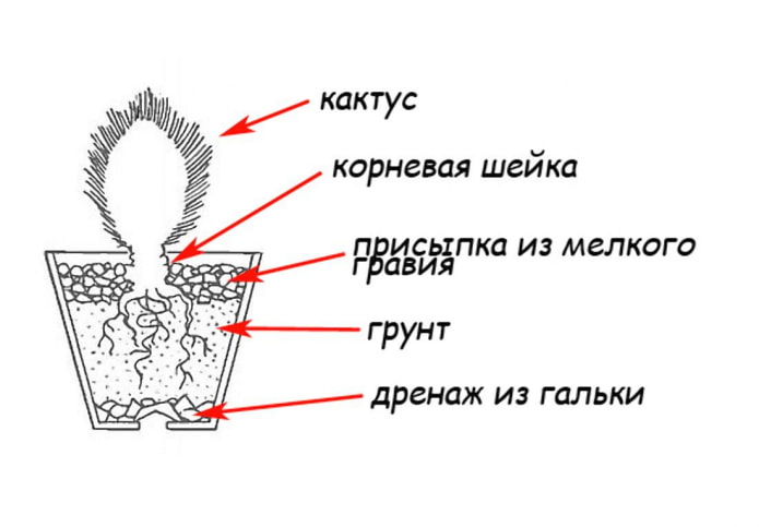 Схема высадки