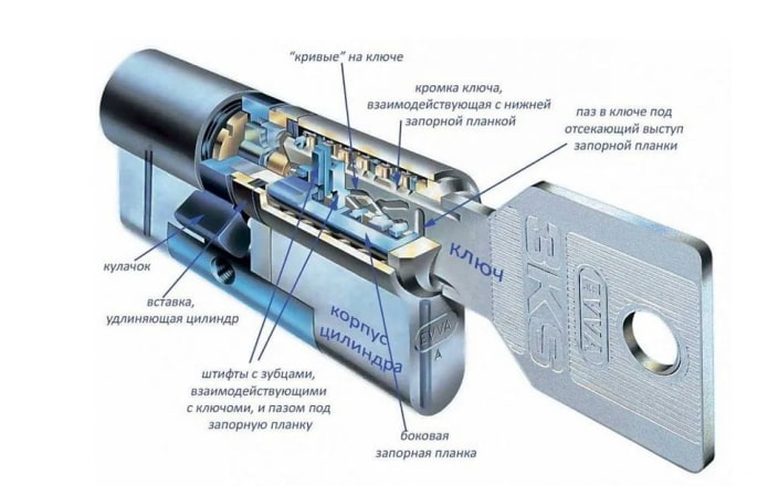 схема личинки