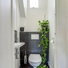 Интерьер туалета маленького размера: особенности, дизайн, цвет, стиль, 100+ фото-0