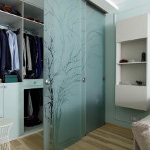 Двери в гардеробную комнату: виды, материалы, дизайн, цвет-8