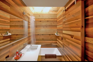 Панели ПВХ для ванной комнаты: плюсы и минусы, особенности выбора, дизайн