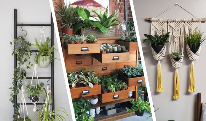 Как оригинально разместить комнатные растения?